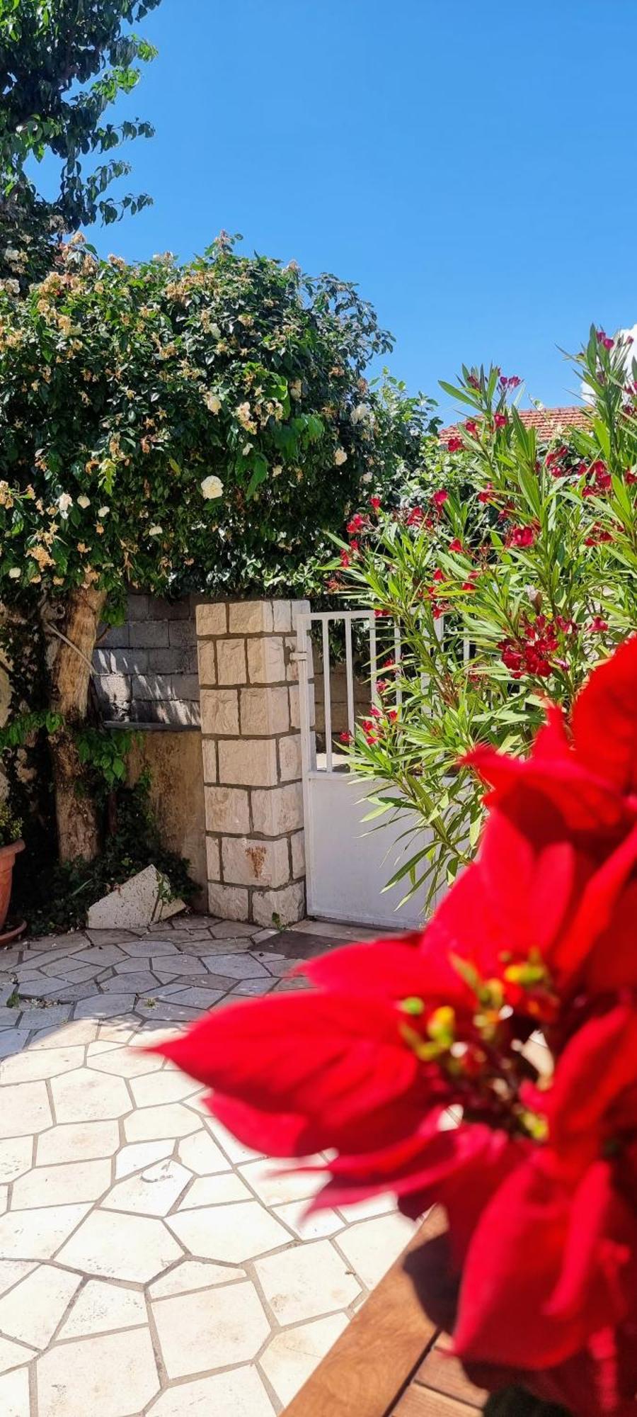Apartment Lea Bayview Dubrovnik Eksteriør billede