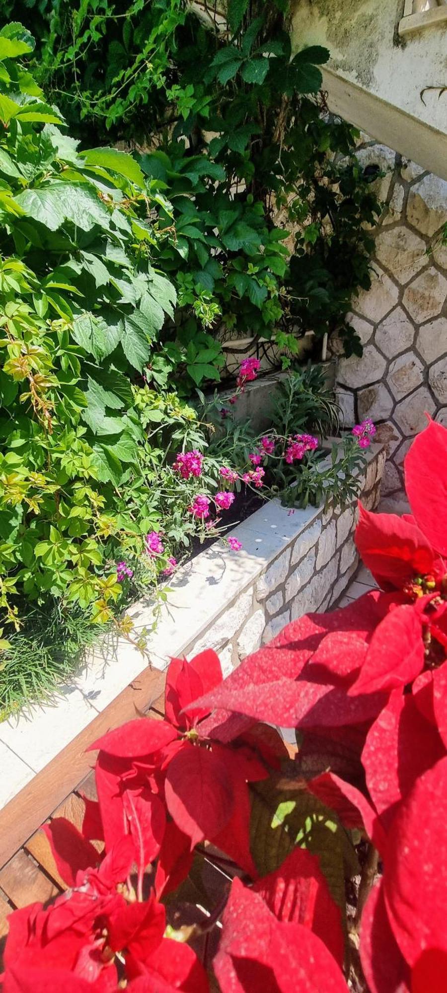 Apartment Lea Bayview Dubrovnik Eksteriør billede
